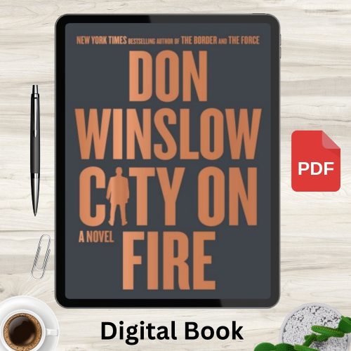 City on Fire: A Novel (The Danny Ryan Trilogy, 1)